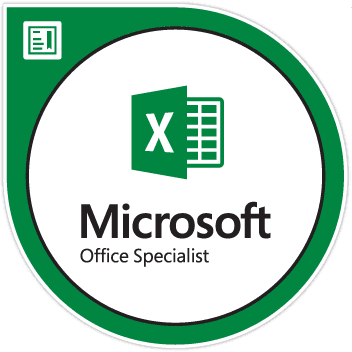 Microsoft Excel Specialist